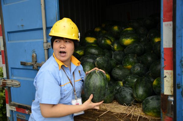 4008云顶集团(国际)股份有限公司