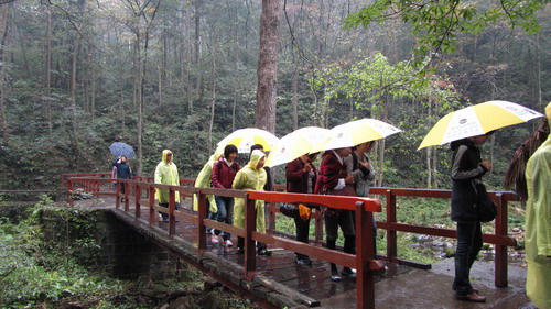 我公司组织部门员工张家界，凤凰古城四日游