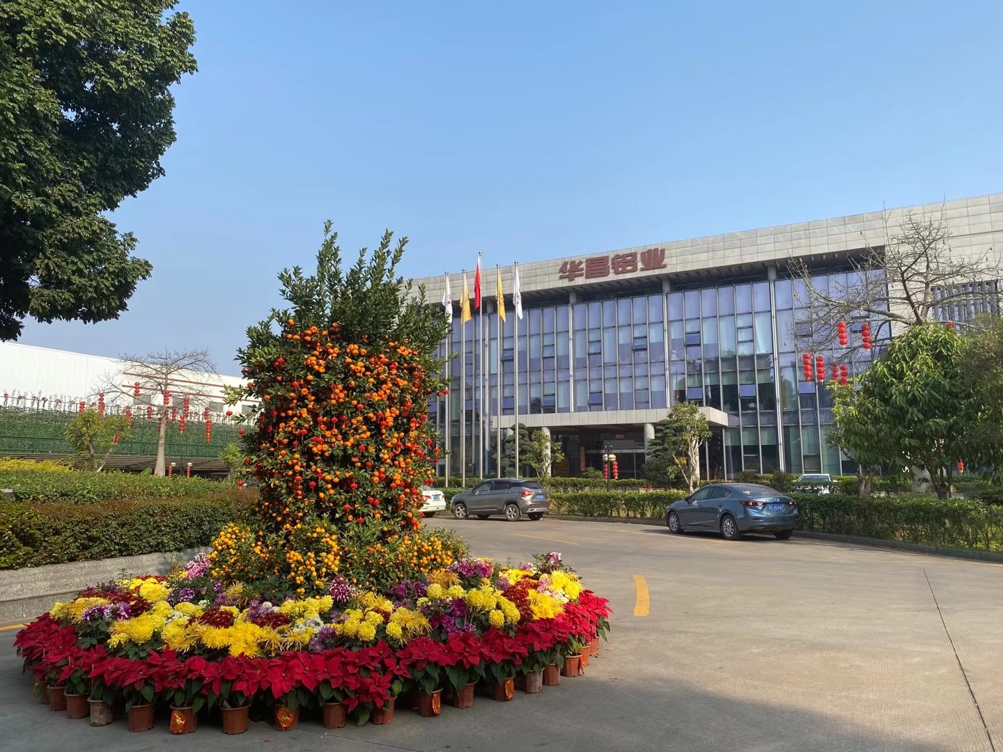 牛转乾坤 4008云顶集团奋进  ——4008云顶集团铝业董事长潘伟深2021新年启市致辞