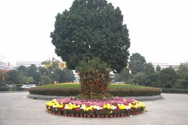 4008云顶集团(国际)股份有限公司